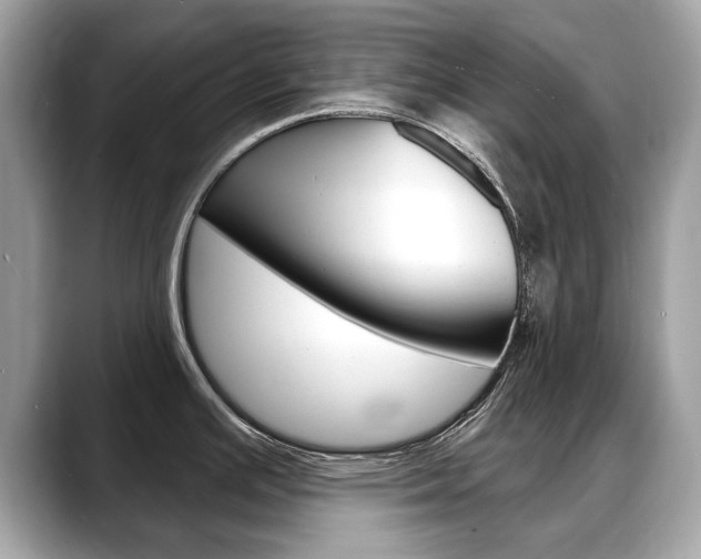X0000088711391200705311030