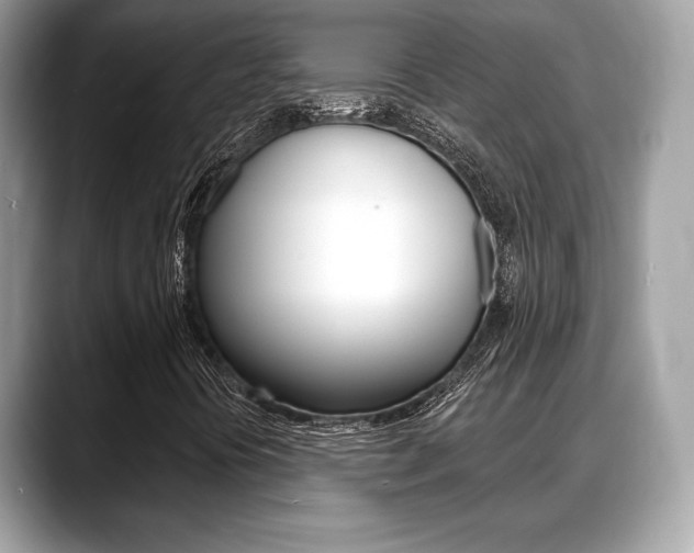 X0000088711394200705311030