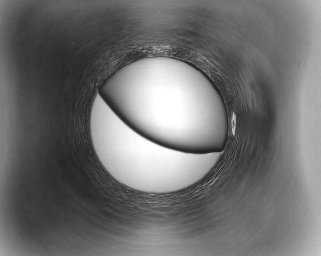 X0000088711395200705311030