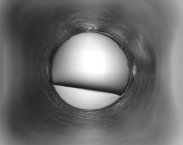 X0000088711396200705311030