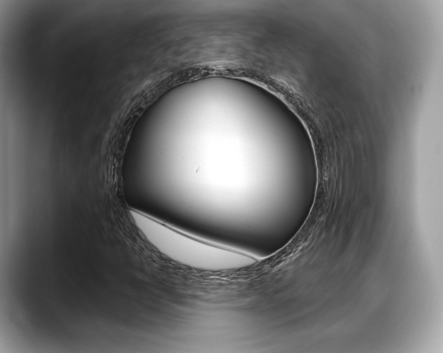 X0000088711398200705311030