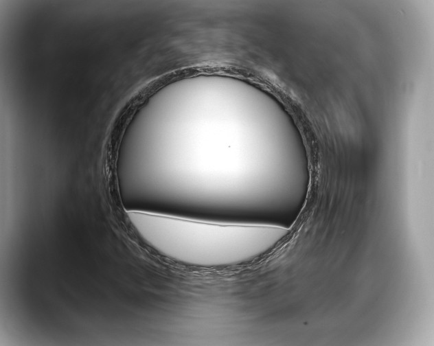 X0000088711400200705311030
