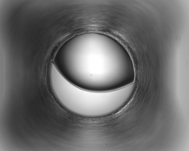 X0000088711402200705311030