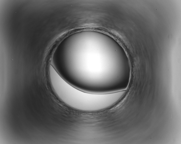 X0000088711406200705311030