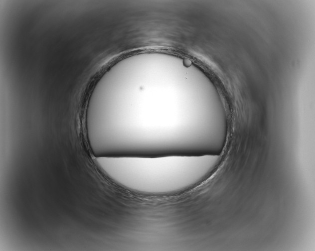 X0000088711407200705311030