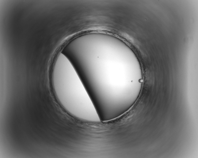 X0000088711408200705311030