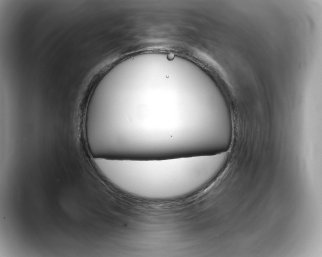 X0000088711411200705311030