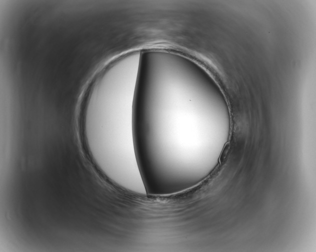 X0000088711414200705311030