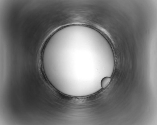X0000088711415200705311030