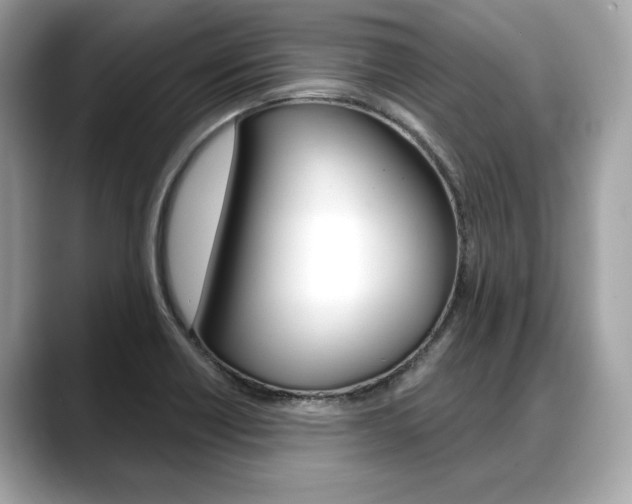 X0000088711418200705311030