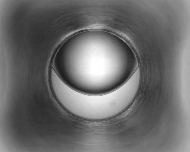 X0000088711422200705311030