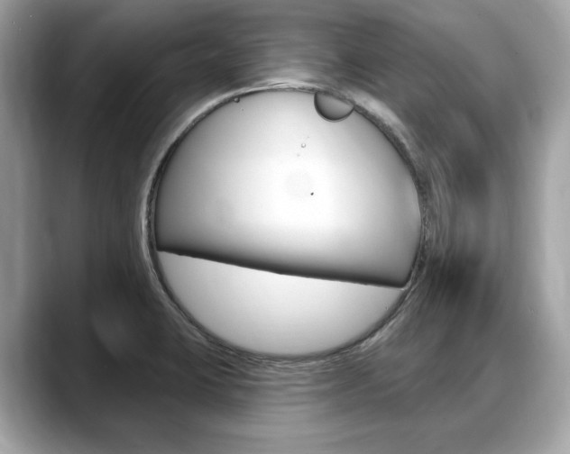 X0000088711423200705311030