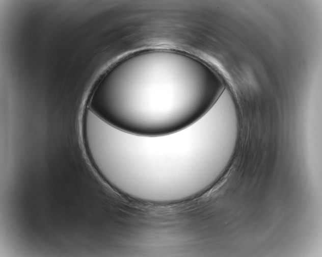 X0000088711424200705311030