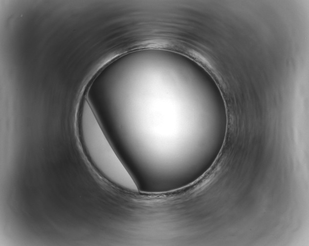 X0000088711426200705311030