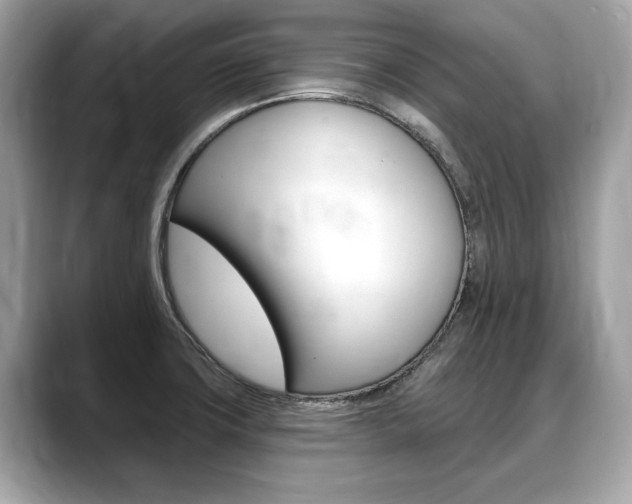 X0000088711427200705311030