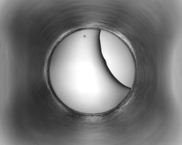 X0000088711429200705311030
