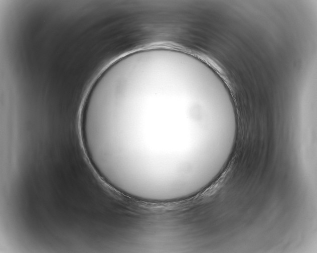X0000088711430200705311030