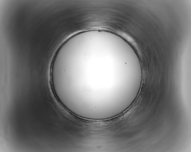 X0000088711431200705311030
