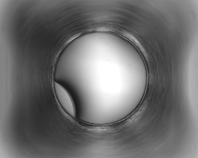 X0000088711433200705311030