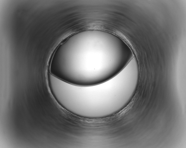 X0000088711434200705311030
