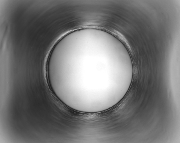 X0000088711435200705311030