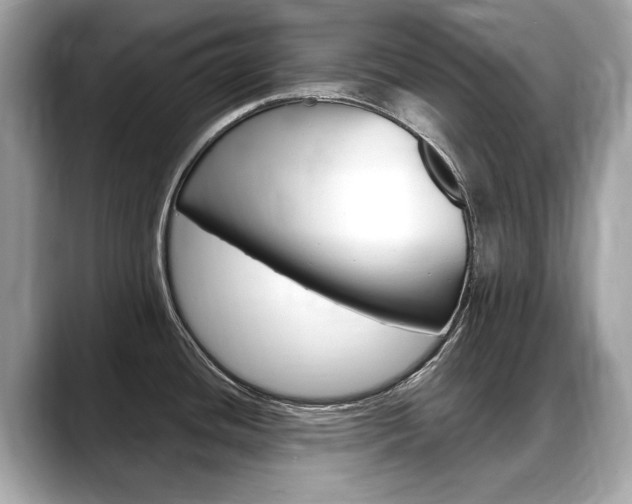 X0000088711436200705311030