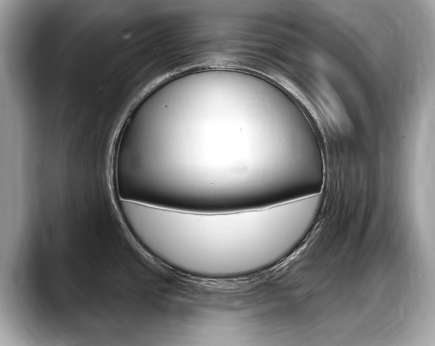 X0000088711437200705311030