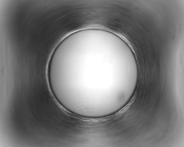 X0000088711438200705311030