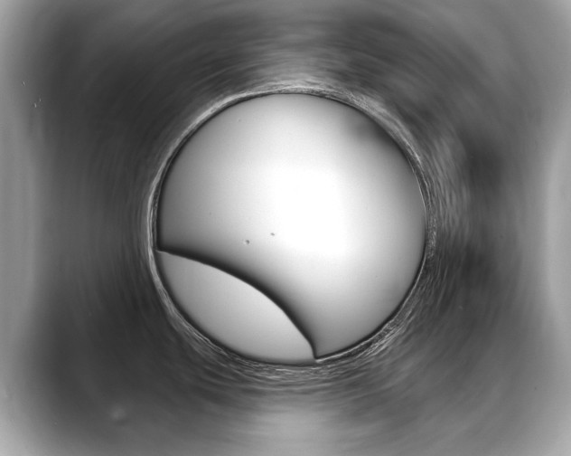 X0000088711439200705311030