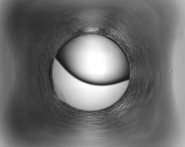 X0000088711441200705311030