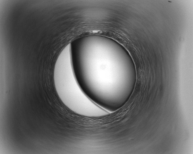 X0000088711442200705311030