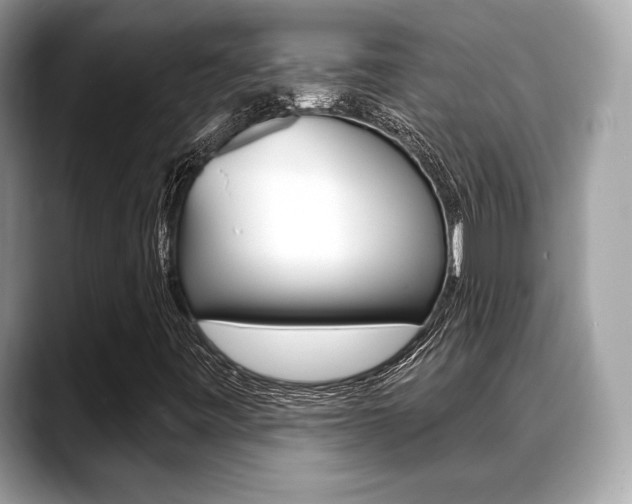 X0000088711443200705311030