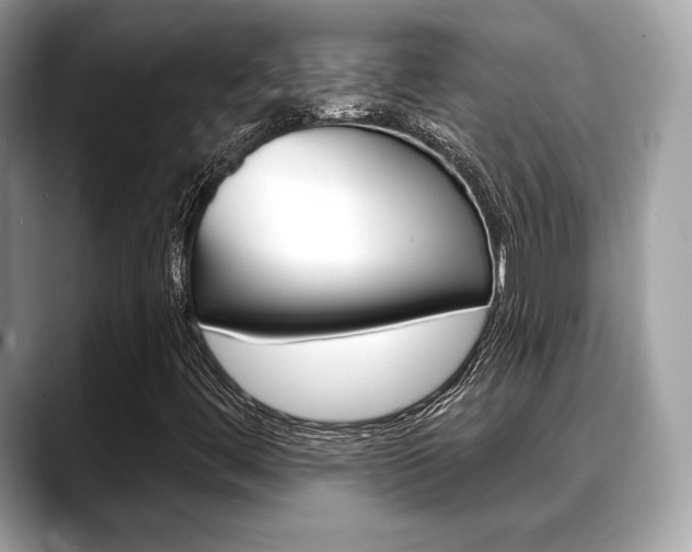X0000088711444200705311030