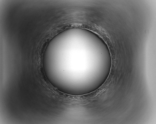 X0000088711445200705311030