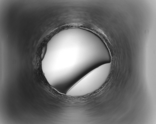 X0000088711448200705311030