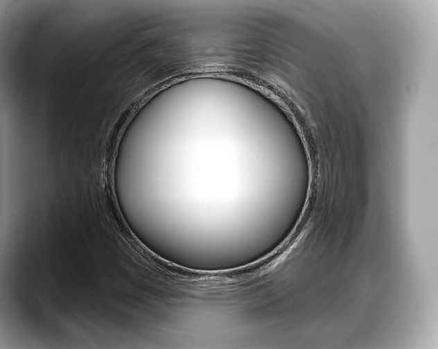X0000088711449200705311030