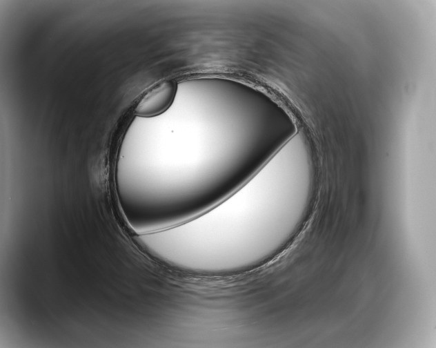 X0000088711450200705311030