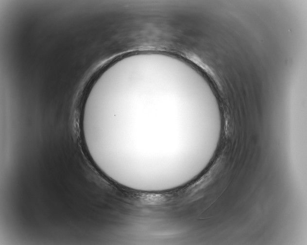 X0000088711454200705311030