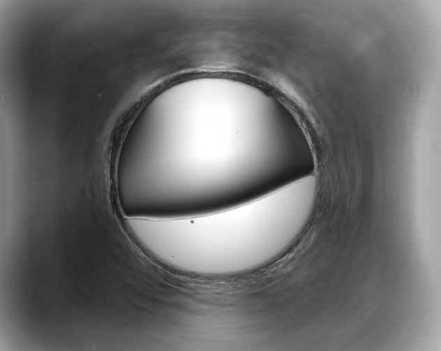 X0000088711456200705311030