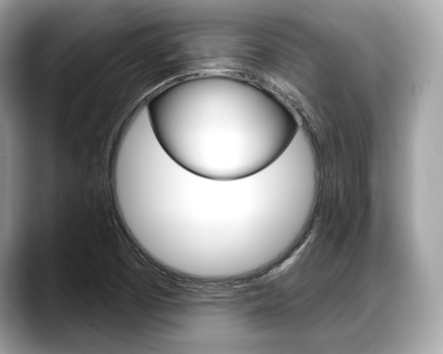 X0000088711457200705311030