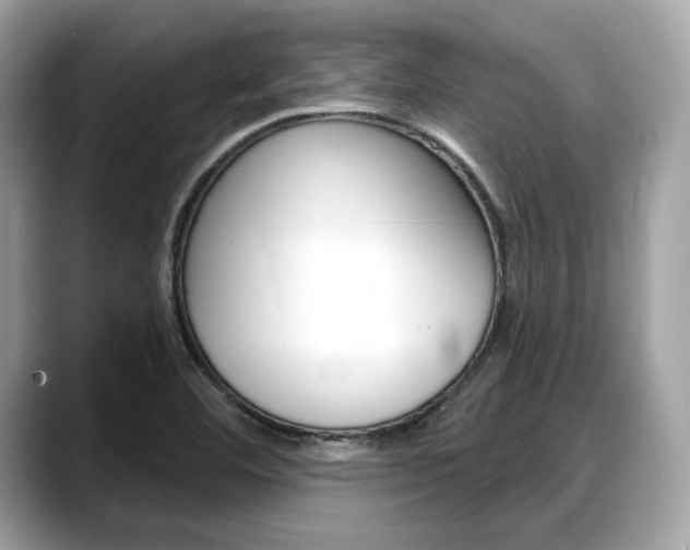 X0000088711460200705311030