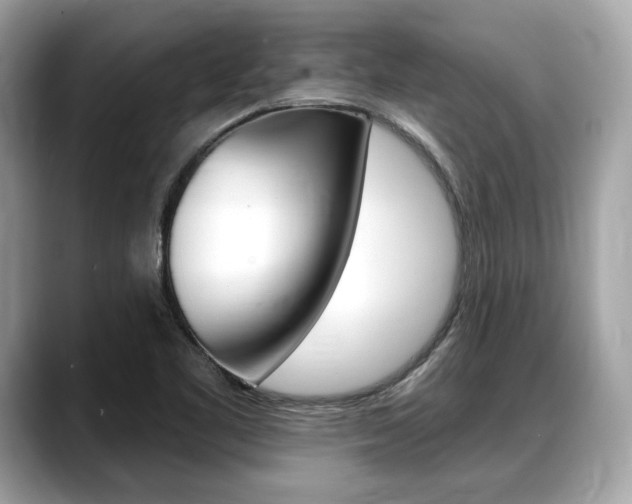 X0000088711461200705311030