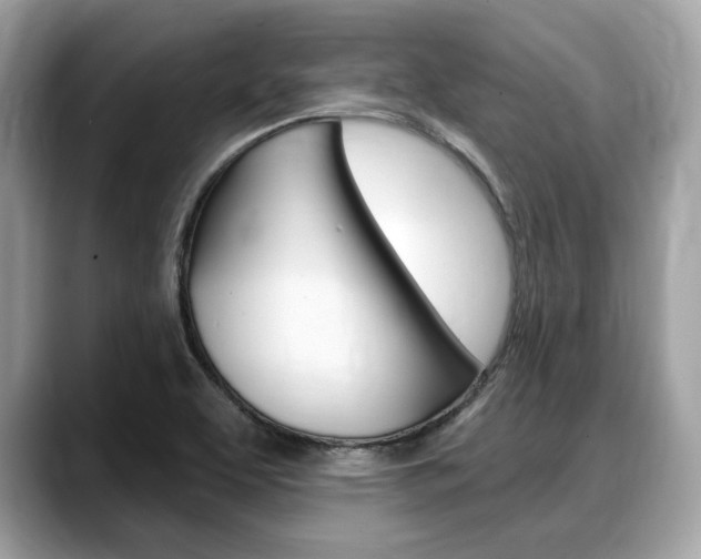 X0000088711463200705311030