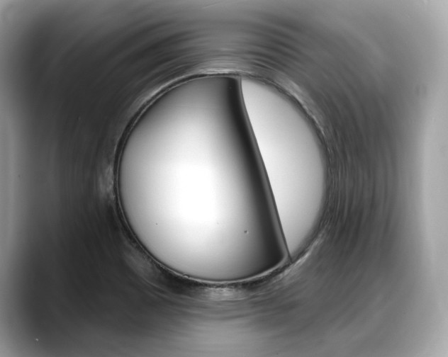 X0000088711465200705311030
