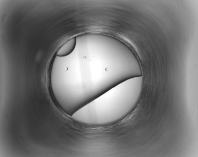 X0000088711467200705311030