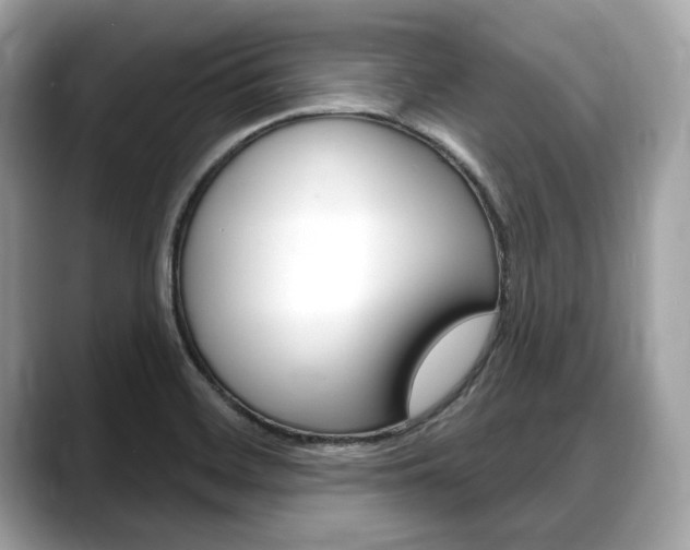 X0000088711468200705311030