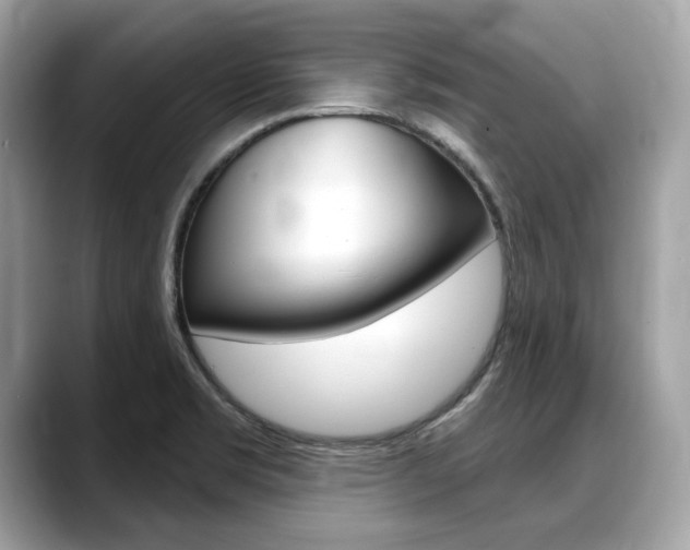 X0000088711469200705311030