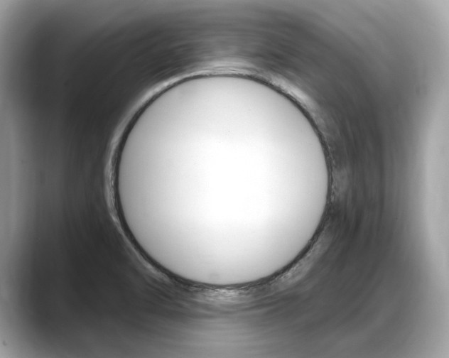 X0000088711470200705311029