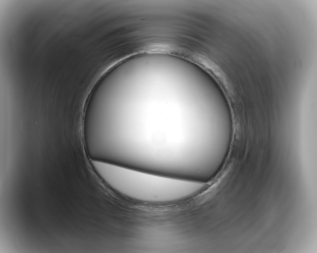 X0000088711473200705311029