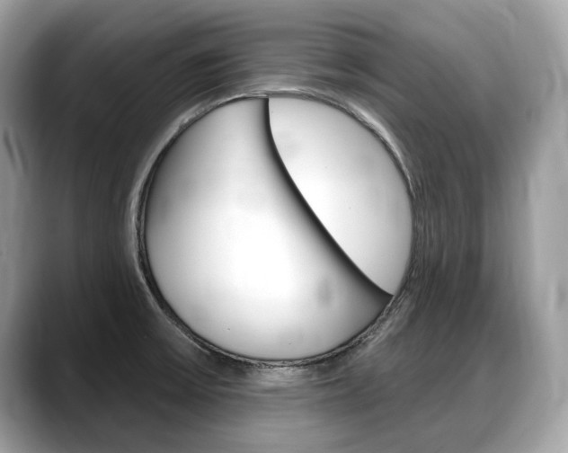 X0000088711475200705311029